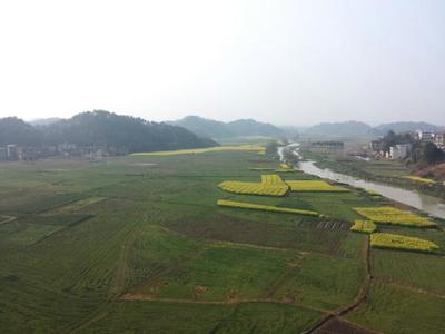 東莞工廠倒閉潮 房地產投資的暗影與結構轉型的陣痛